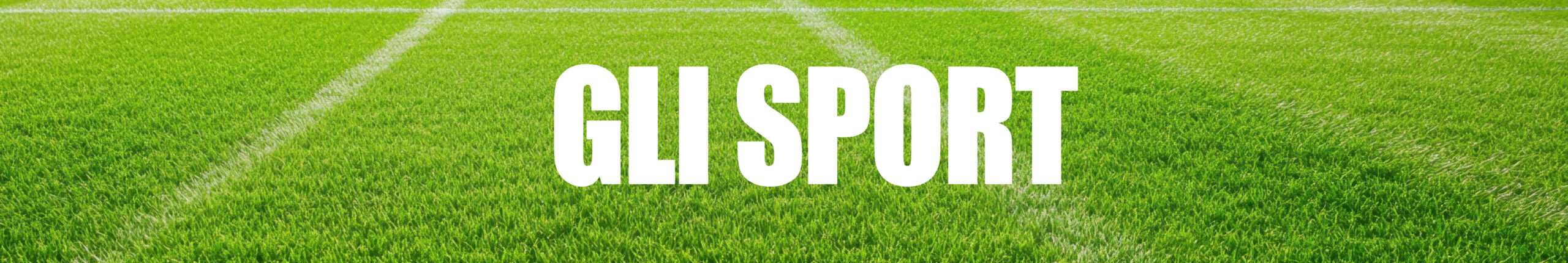 Multisport collage, footbal, boxing, voleyball soccer, baseball.